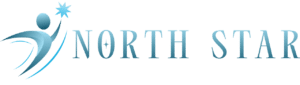 North Star Web Solutions