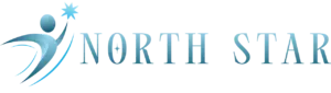 North Star Web Solutions